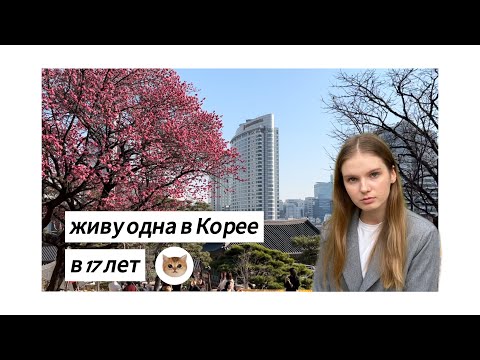 Видео: как полететь в Корею в 17 лет? куда сходить и что поесть