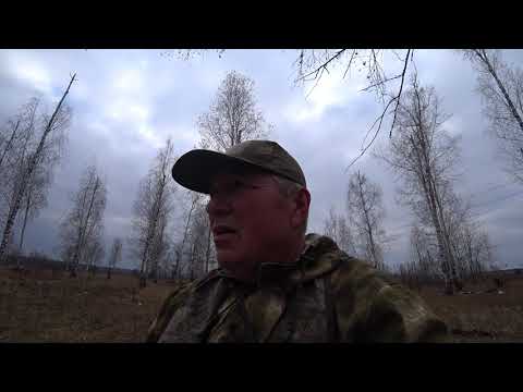 Видео: Будет ли этой зимой охота? Охота на зайца 2025 11 06
