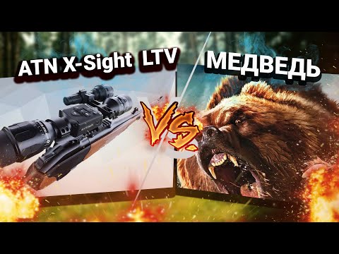 Видео: Охота на медведя! Прицел ATN X-Sight LTV в деле. НОВОЕ Ленинградская область
