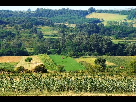 Видео: Сербская деревня српско село