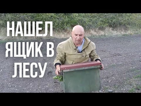 Видео: Поехали в Лес за Ловушками для Пчел нашли Ящик