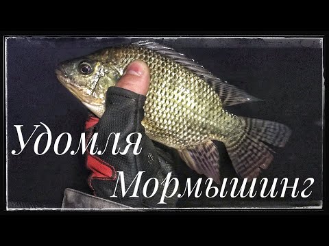 Видео: Удомля ! Зимний мормышинг !