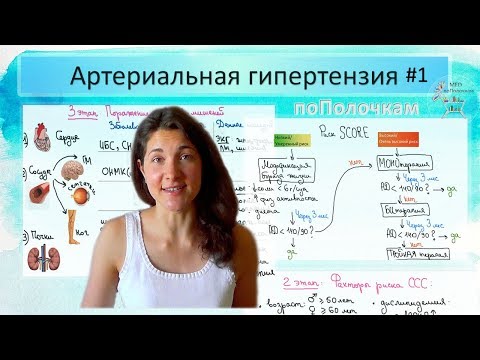Видео: Артериальная Гипертензия. Часть 1: диагностика, оценка риска ССС, лечение (по реком-м ESC и AHA)