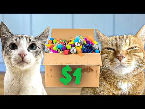 Видео: Мои кошки тестируют каждую игрушку для кошек стоимостью 1 доллар