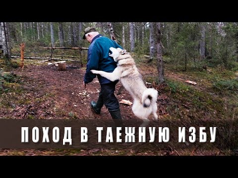 Видео: Поход в лес. В таёжную избу.