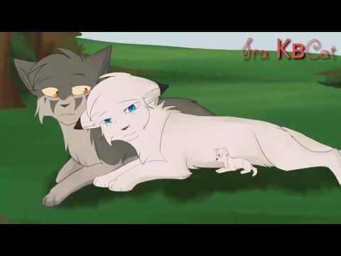 Видео: Коты Воители:Но,есть Любовь💙: