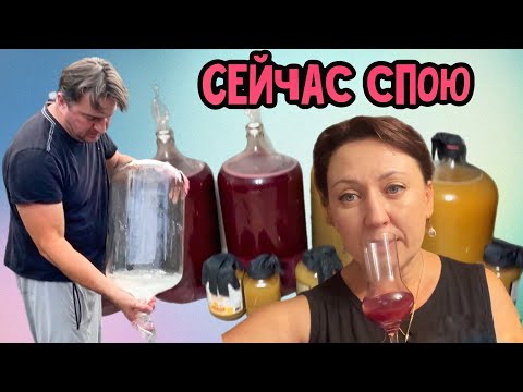 Видео: Разливаем Молодое вино🍷// жизнь в Канадской деревне