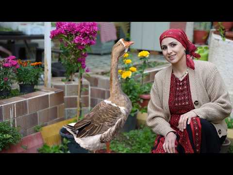 Видео: Курдский рис с гусем и бамией — такого вы еще не видели! 😱🔥