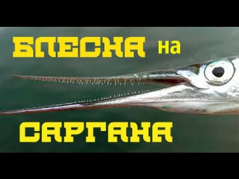 Видео: Как изготовить блесну на морскую рыбу сарган