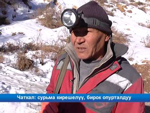 Видео: Чаткал: сурьма кирешелүү, бирок опурталдуу