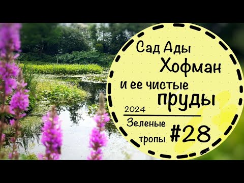 Видео: #28☘️Сад Ады Хофман☘️Как очистить пруд? ☘️ 30 садовых комнат и 50 водных элементов☘️Сад в Голландии