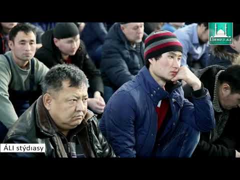 Видео: Салафиттер неге адасып жатыр? Себебі.../ ұстаз Қабылбек Әліпбайұлы 💚 АЛИ студиясы