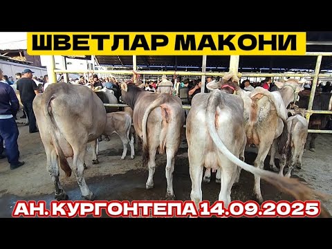Видео: ШВЕТЛАР МАКОНИ АНДИЖОН КУРГОНТЕПА БОЗОР АВЖИДА 💥💥