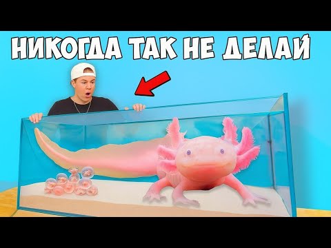 Видео: Покупка через Интернет самой жуткой рыбы, которую я когда-либо покупал...