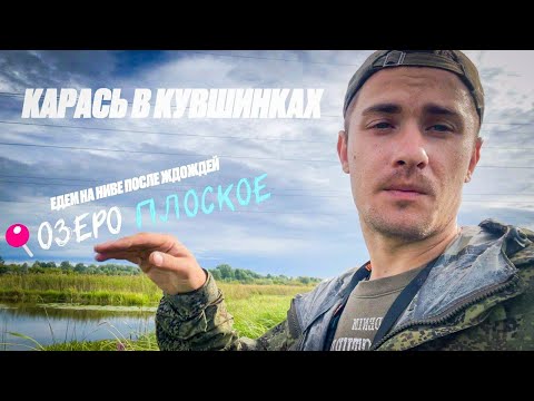 Видео: 📌 КАРАСЬ В КУВШИНКАХ | ОЗЕРО ПЛОСКОЕ | ПРОЕЗЖАЕМ НА НИВЕ