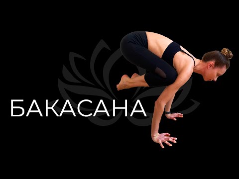 Видео: Бакасана для начинающих | Бакасана подводящие | Поза журавля