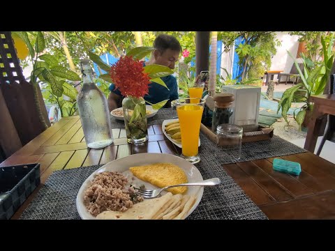 Видео: Мальдивский завтрак на острове Дигура на Мальдивах 🇲🇻