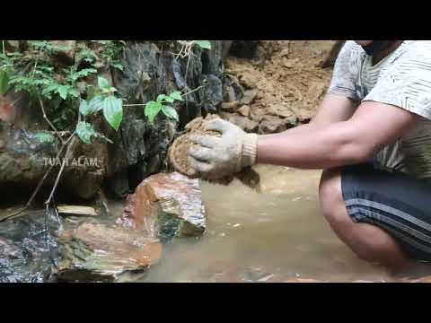 Видео: 5 БЕЗУМНЫХ ВИДЕО ПОИСКА ЗОЛОТА.!! ПОИСК ЗОЛОТА, ЗОЛОТАЯ ЛИХА, ТРАДИЦИОННАЯ ДОБЫЧА ЗОЛОТА