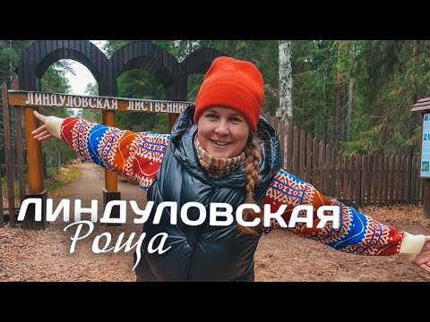 Видео: Линдуловская роща. Ленинградская область