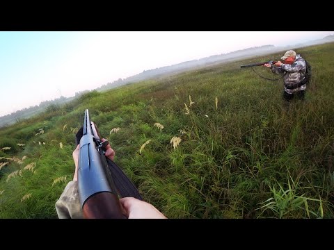 Видео: ЭТИ БОЛОТА И КАНАЛЫ КИШАТ УТКОЙ! / ОХОТА НА УТКУ ОСЕНЬ 2022 / ВАРИМ ШУЛЮМ ИЗ ДОБЫЧИ