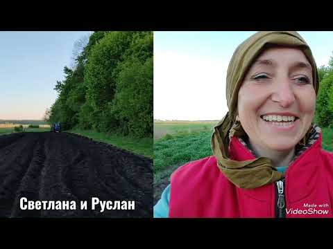 Видео: Культивируем//Садим картошку