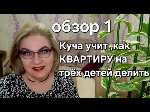 Видео: Куча учит, как КВАРТИРУ на трёх детей делить