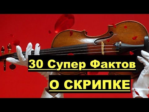 Видео: 30 Интереснейших Фактов о СКРИПКЕ! Никто не знал!!!