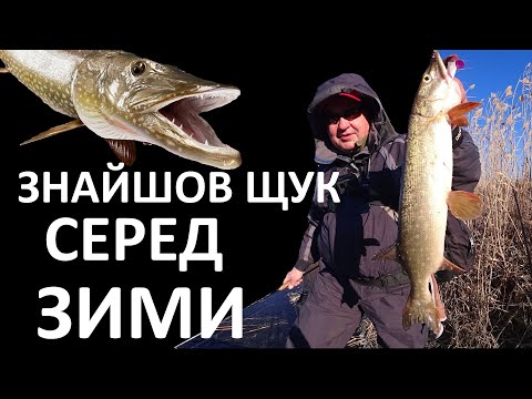 Видео: Зима лютує - гайда на щуку! Не з криги - на спінінг ) будемо з рибою навіть в мороз!