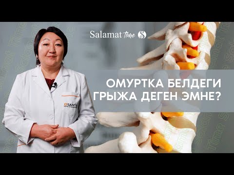 Видео: Омуртка белдеги грыжа деген эмне? | 1