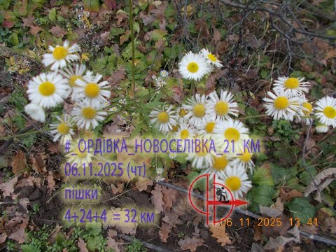 Видео: 2025 11 06  (чт) [Пішки] #_ОРДІВКА⇒КОМАРІВКА_22_КМ