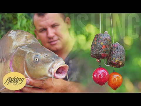 Видео: Рыбалка на карпа в +40 | Как поймать карпа в жару? | Карпфишинг на красивом озере