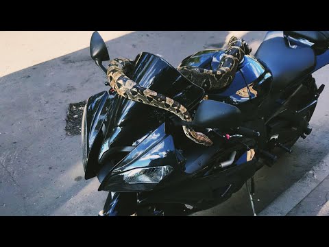 Видео: Восстановление мотоцикла. Yamaha R6 Restoration