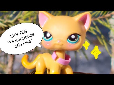 Видео: LPS TEG " 15 вопросов обо мне" (и алиса на заднем плане 😂)