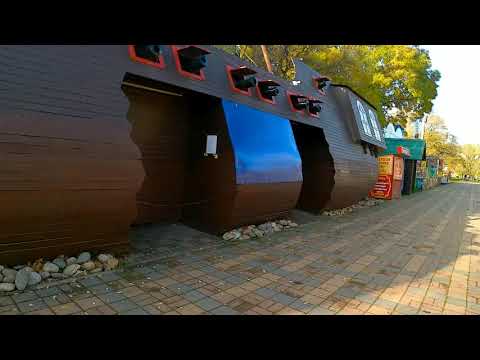 Видео: Ноябрь 2025 г. Парк им. Поддубного.