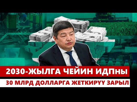 Видео: 2030-жылга чейин ИДПны 30 млрд долларга жеткирүү зарыл