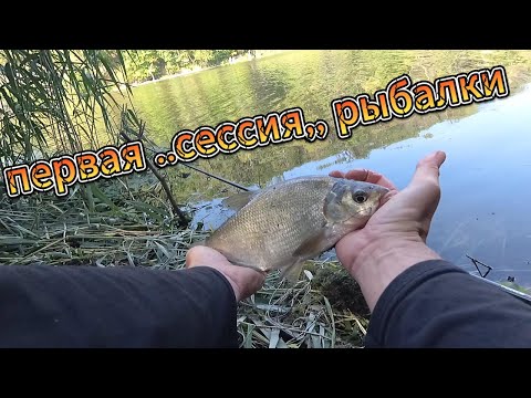 Видео: другой берег -7#fishing #поход #фидер#туризм#рібалка