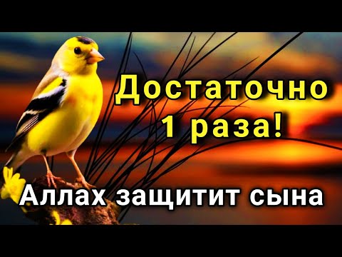 Видео: ☝️🤲 ЭТО САМАЯ СИЛЬНАЯ МОЛИТВА ЗА СЫНА!СПАСЁТ ОТ БЕДЫ ЗЛЫХ ЛЮДЕЙ ПОРЧИ СГЛАЗА СИЛЬНЫЙ ОБЕРЕГ! ✨💯