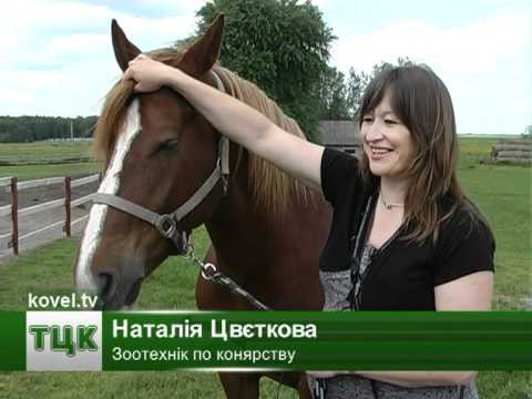 Видео: З міста в село - за роботою і житлом