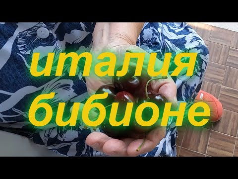 Видео: Цены на базаре Линьяно-Италия | Lignano сегодня . 2023