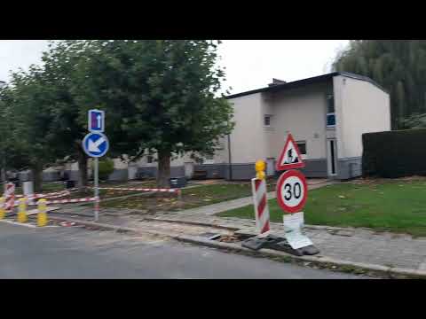 Видео: Осенняя прогулка в парке ///