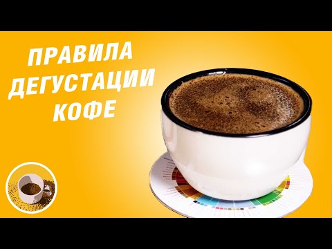 Видео: Как дегустировать кофе - Каппинг