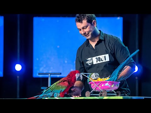 Видео: Калоян Явашев |Кастинги | България търси талант 2021