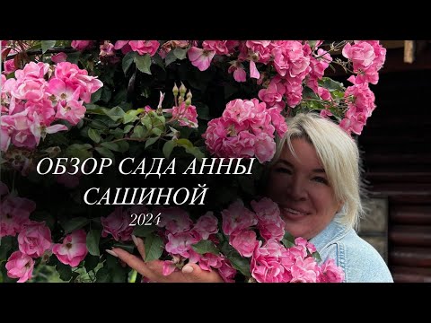 Видео: ОБЗОР САДА АННЫ САШИНОЙ 2024