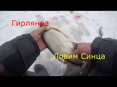 Видео: Снасть Гирлянда . Ловим белую рыбу. Синец