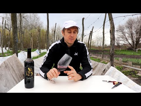 Видео: ОДЖАЛЕШИ! Грузинский сорт с необычной Ароматикой!!!