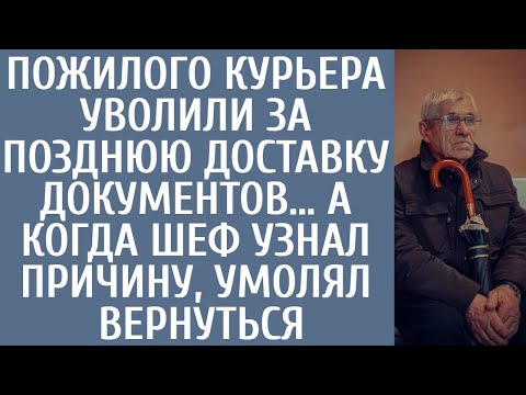 Видео: Пожилого курьера уволили за позднюю доставку документов… А когда шеф узнал причину, умолял вернуться