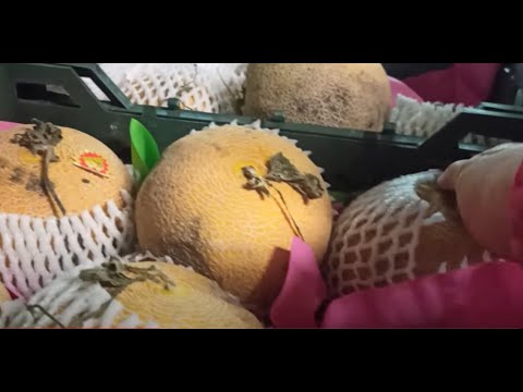 Видео: 🚦СВЕТОФОР🚦ВОТ ТАКОЕ ВЕЛИКОЛЕПИЕ в МАЕ!🍈🍊ЧТО КУПИЛИ и ТЕСТ🔥