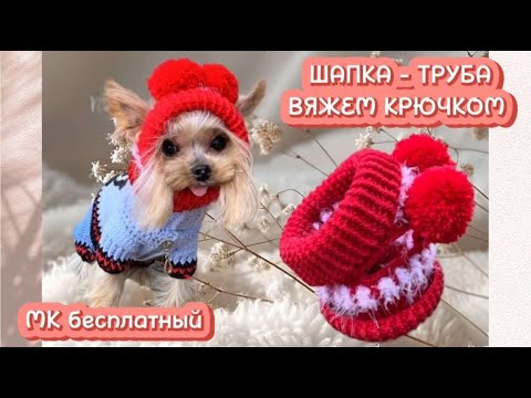 Видео: Как связать шапку-трубу для собаки крючком | Подходит для Йорка, Мопса, Чихуахуа