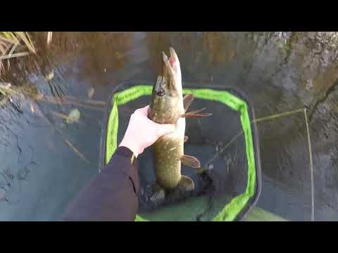 Видео: Рыбалка на спиннинг в отпуске.  День 2. " Переломный " . Воблеры от 140 до 160 мм.