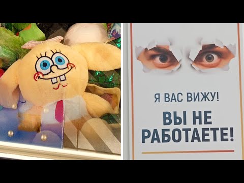 Видео: Фото подписчиков Фактории (245 часть)